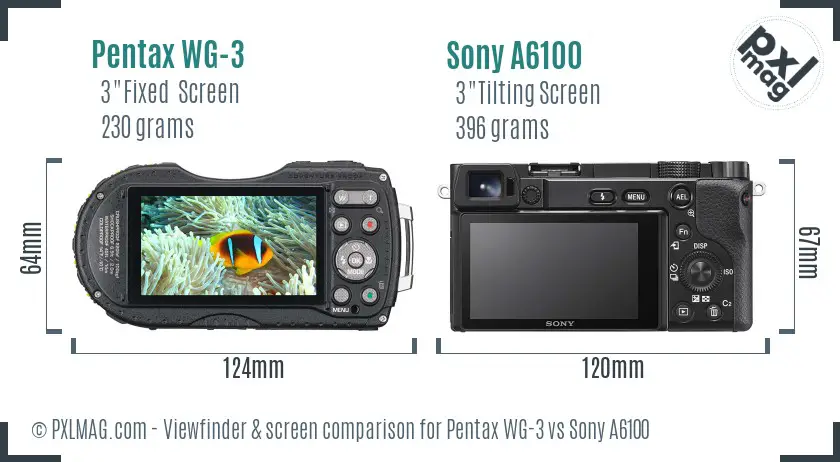 Pentax WG-3 vs Sony A6100 Screen and Viewfinder comparison