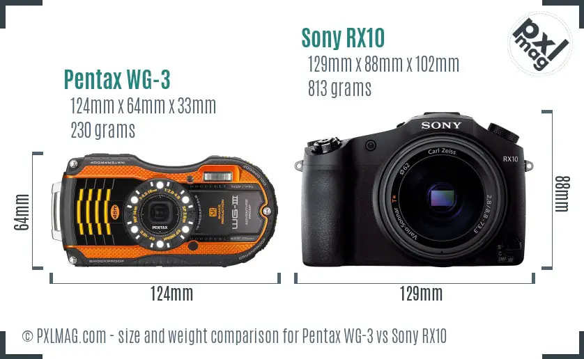 Pentax WG-3 vs Sony RX10 size comparison