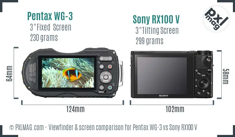 Pentax WG-3 vs Sony RX100 V Screen and Viewfinder comparison