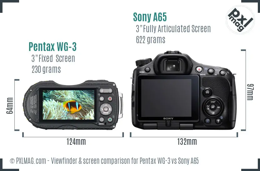 Pentax WG-3 vs Sony A65 Screen and Viewfinder comparison