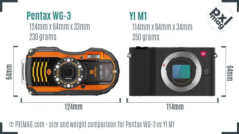 Pentax WG-3 vs YI M1 size comparison