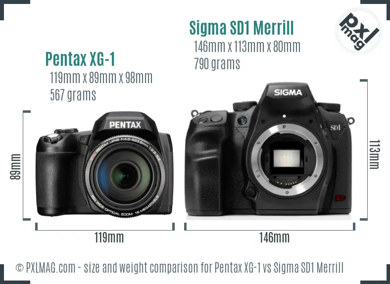 Pentax XG-1 vs Sigma SD1 Merrill size comparison