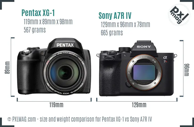 Pentax XG-1 vs Sony A7R IV size comparison