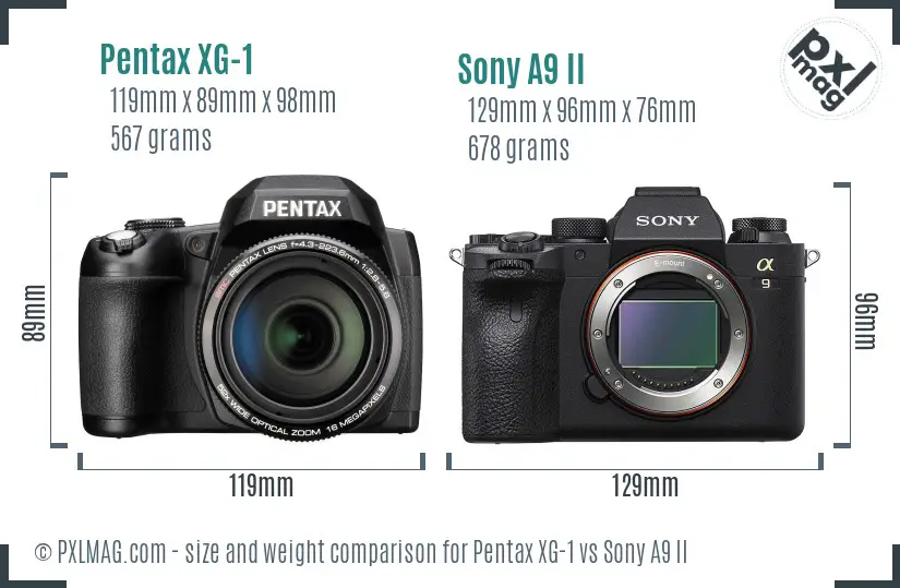 Pentax XG-1 vs Sony A9 II size comparison