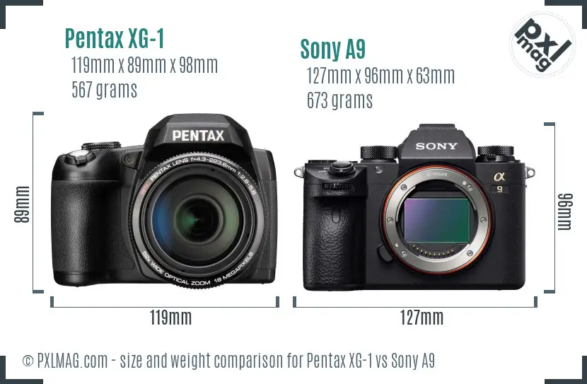 Pentax XG-1 vs Sony A9 size comparison