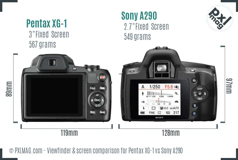 Pentax XG-1 vs Sony A290 Screen and Viewfinder comparison