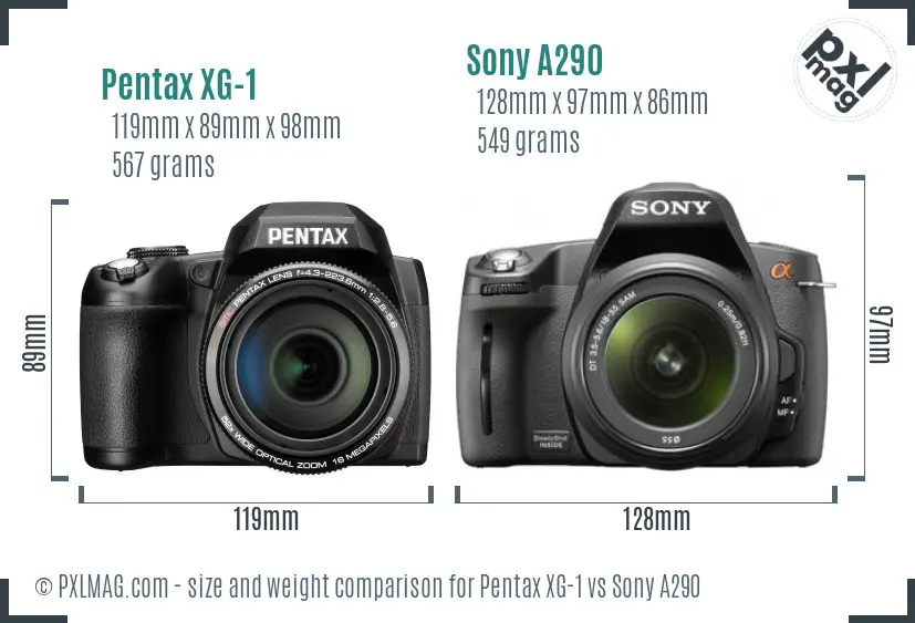 Pentax XG-1 vs Sony A290 size comparison
