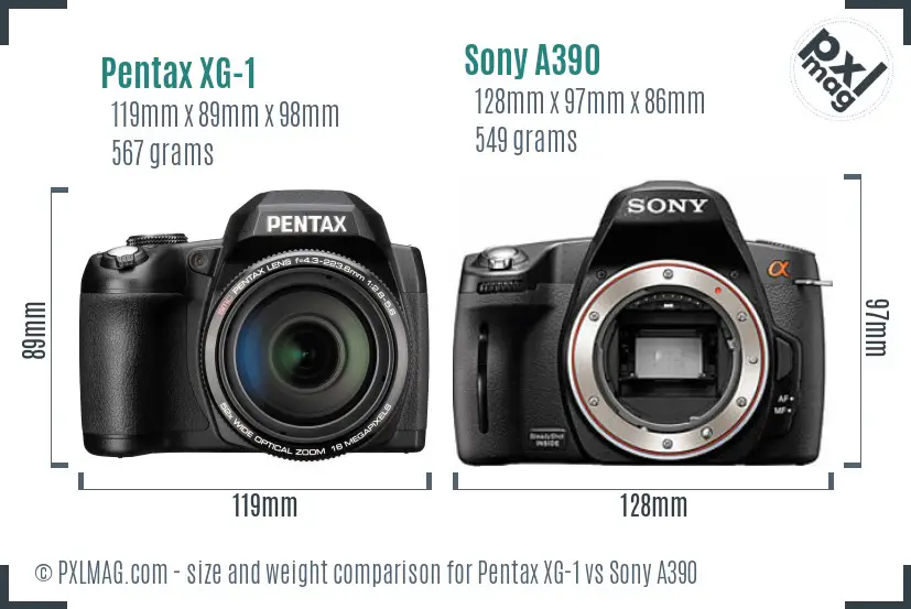 Pentax XG-1 vs Sony A390 size comparison