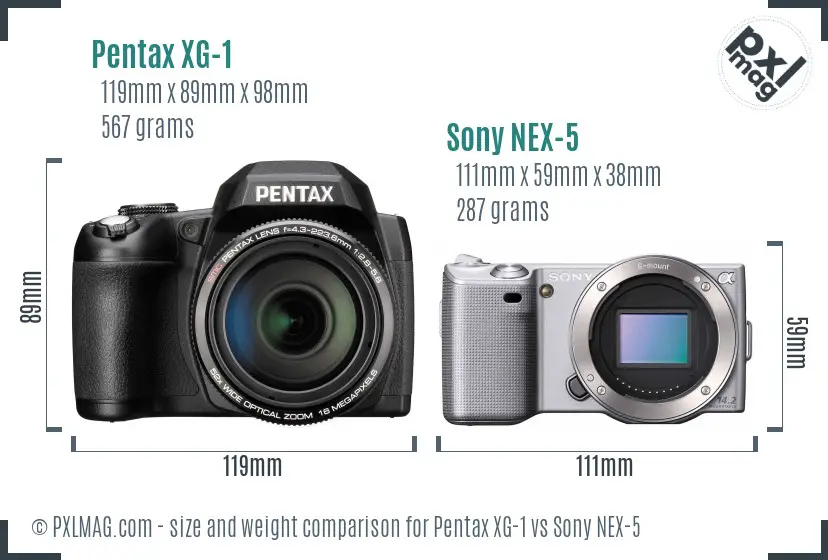 Pentax XG-1 vs Sony NEX-5 size comparison