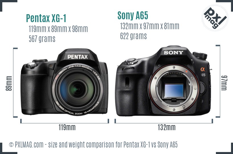 Pentax XG-1 vs Sony A65 size comparison