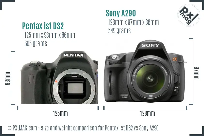 Pentax ist DS2 vs Sony A290 size comparison