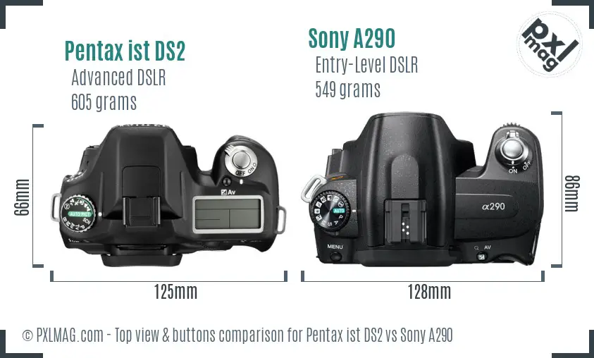 Pentax ist DS2 vs Sony A290 top view buttons comparison