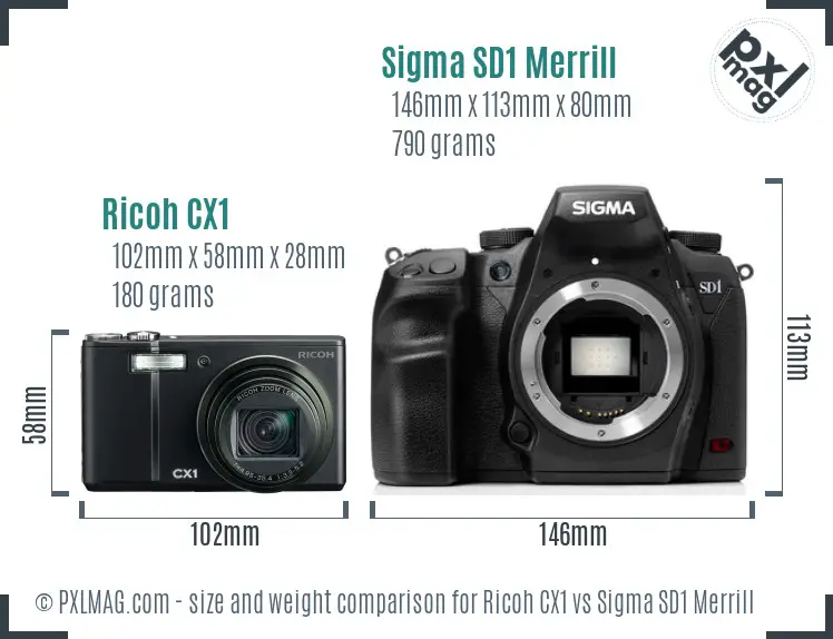 Ricoh CX1 vs Sigma SD1 Merrill size comparison