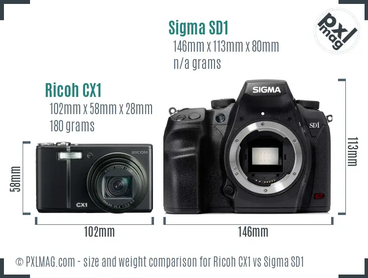 Ricoh CX1 vs Sigma SD1 size comparison