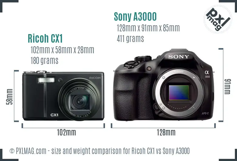 Ricoh CX1 vs Sony A3000 size comparison