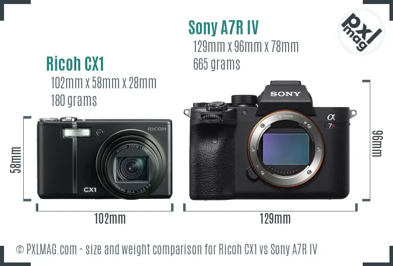 Ricoh CX1 vs Sony A7R IV size comparison