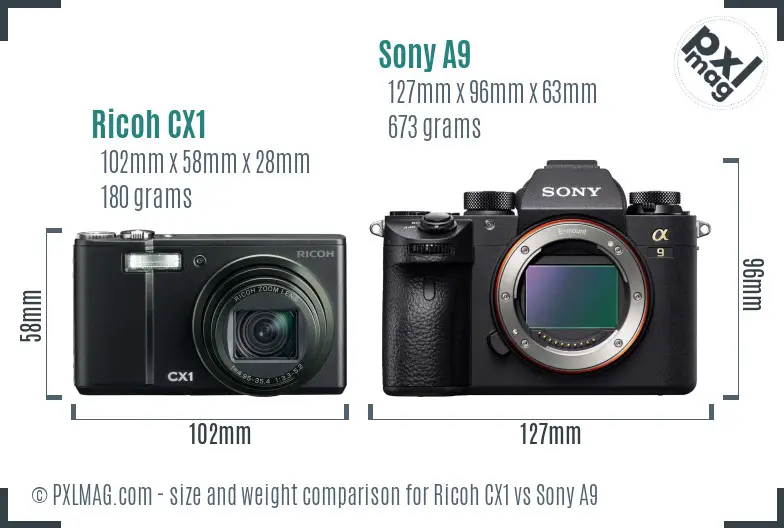 Ricoh CX1 vs Sony A9 size comparison