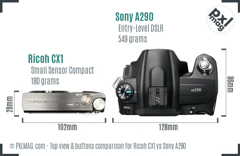 Ricoh CX1 vs Sony A290 top view buttons comparison