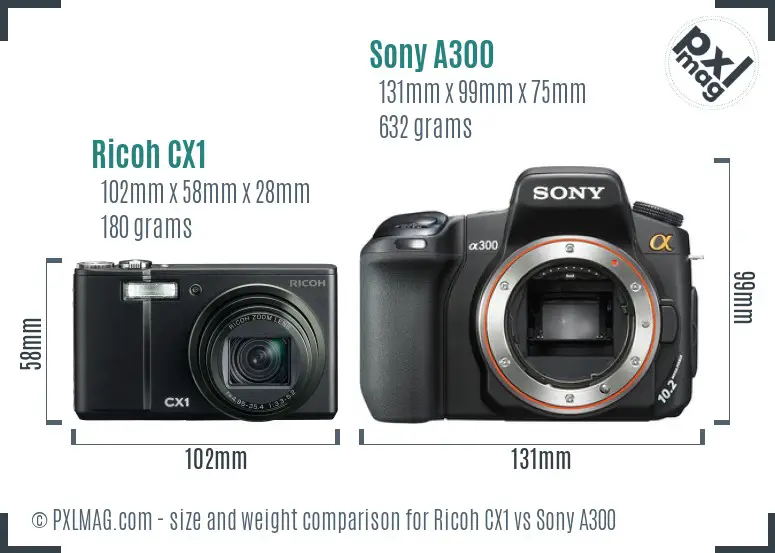 Ricoh CX1 vs Sony A300 size comparison