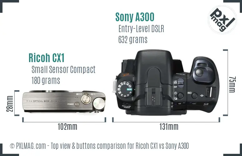 Ricoh CX1 vs Sony A300 top view buttons comparison