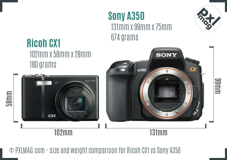 Ricoh CX1 vs Sony A350 size comparison