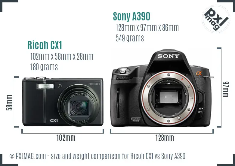 Ricoh CX1 vs Sony A390 size comparison