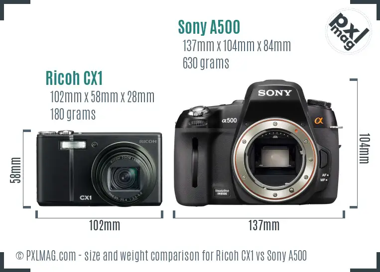 Ricoh CX1 vs Sony A500 size comparison