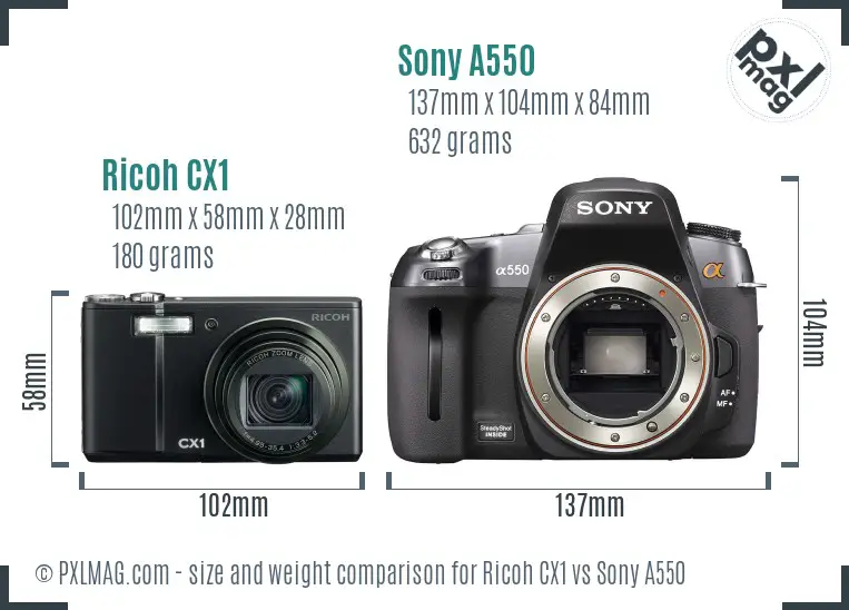 Ricoh CX1 vs Sony A550 size comparison