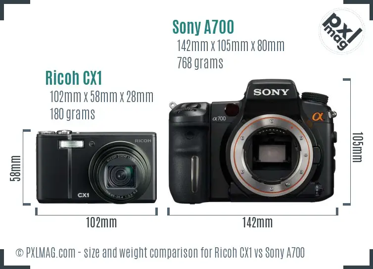 Ricoh CX1 vs Sony A700 size comparison