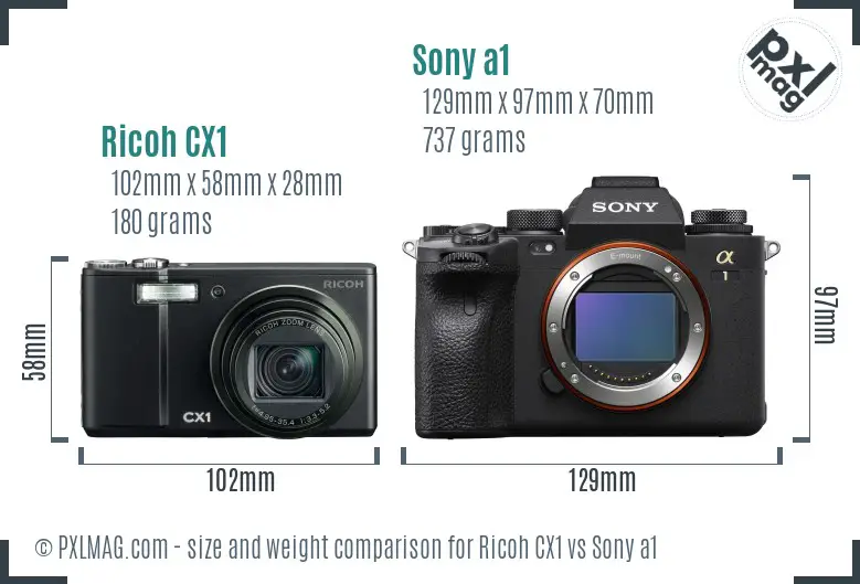 Ricoh CX1 vs Sony a1 size comparison