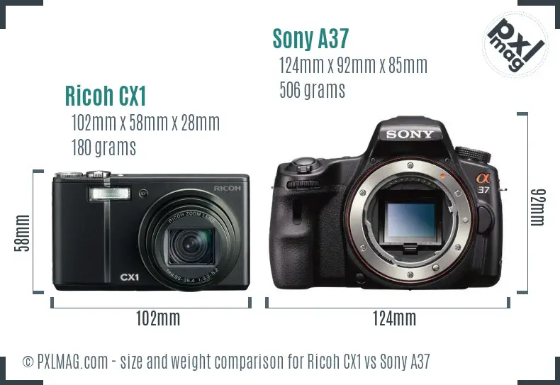 Ricoh CX1 vs Sony A37 size comparison