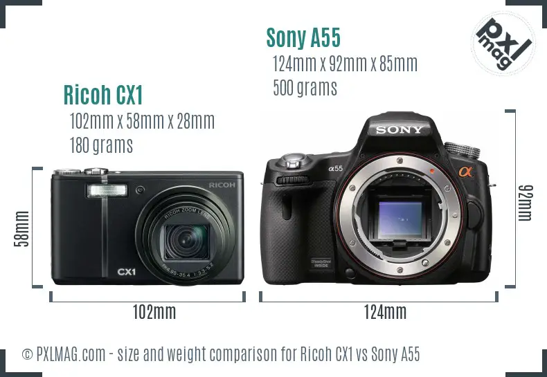 Ricoh CX1 vs Sony A55 size comparison