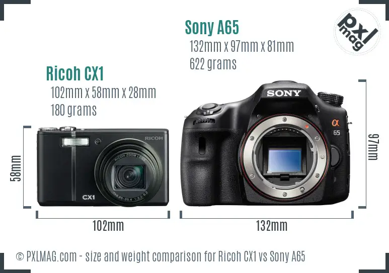 Ricoh CX1 vs Sony A65 size comparison