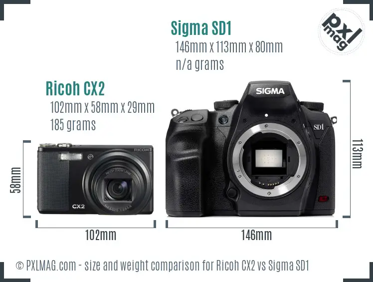 Ricoh CX2 vs Sigma SD1 size comparison