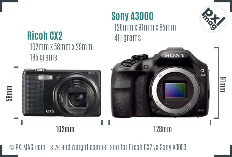 Ricoh CX2 vs Sony A3000 size comparison
