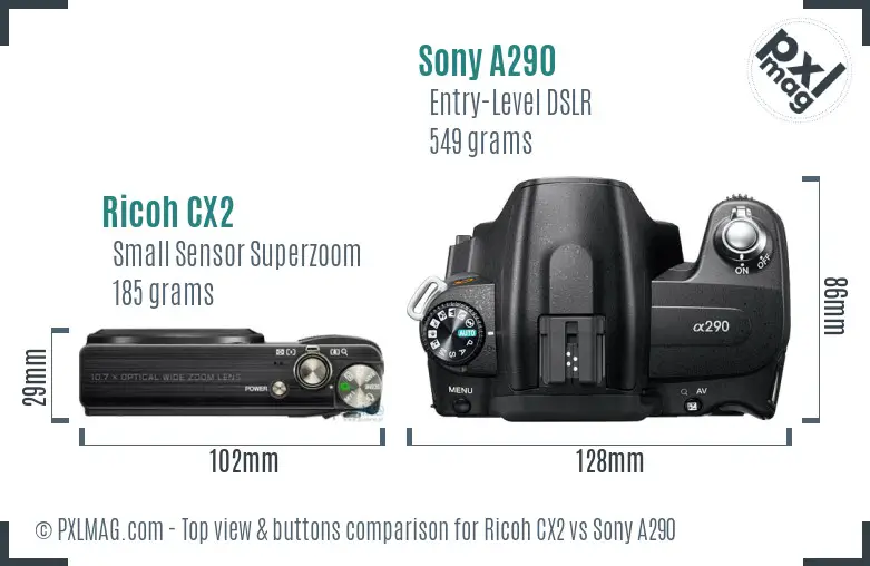 Ricoh CX2 vs Sony A290 top view buttons comparison Ricoh CX2 vs Sony A290 top view buttons comparison