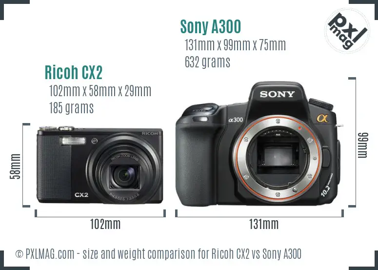 Ricoh CX2 vs Sony A300 size comparison