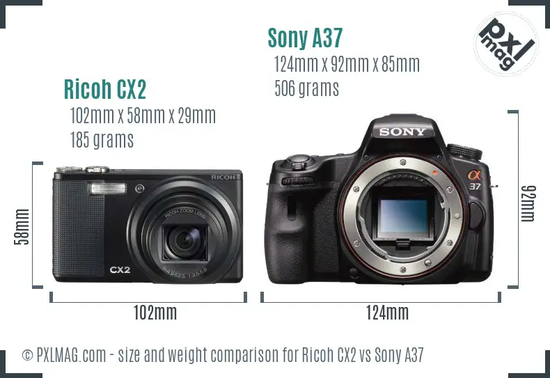 Ricoh CX2 vs Sony A37 size comparison