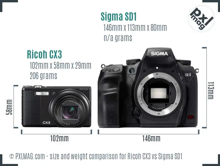 Ricoh CX3 vs Sigma SD1 size comparison