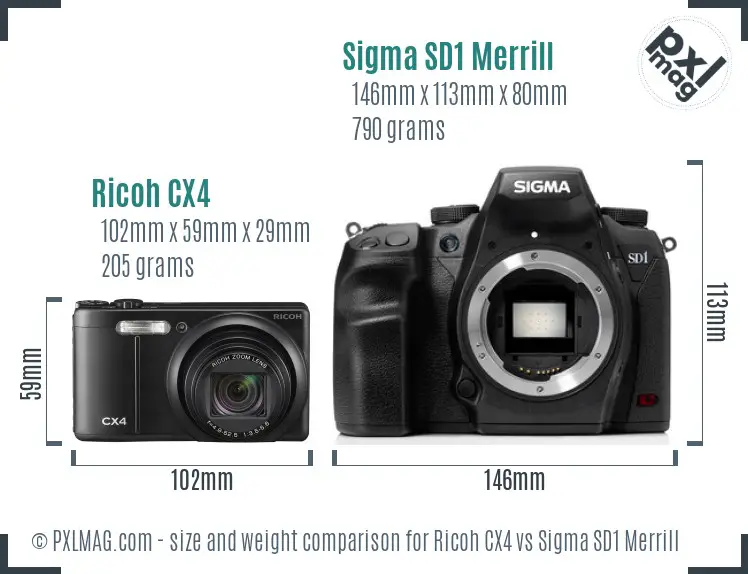 Ricoh CX4 vs Sigma SD1 Merrill size comparison