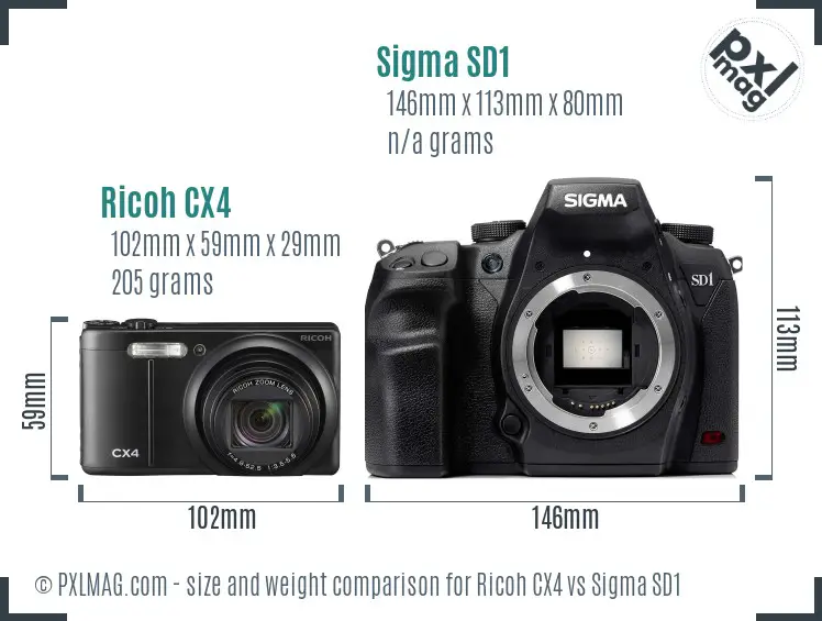 Ricoh CX4 vs Sigma SD1 size comparison