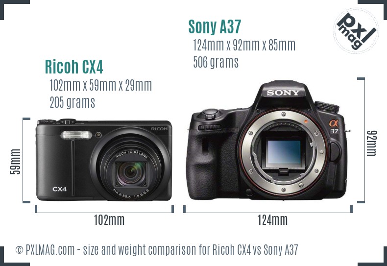 Ricoh CX4 vs Sony A37 size comparison