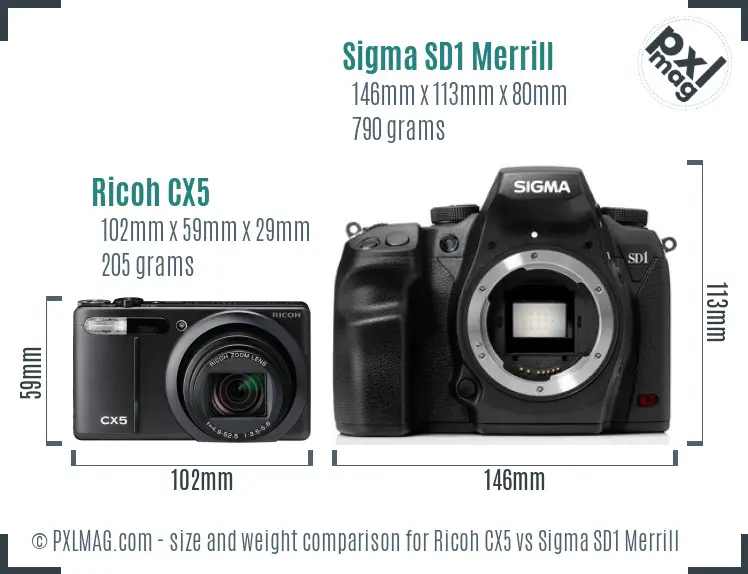 Ricoh CX5 vs Sigma SD1 Merrill size comparison