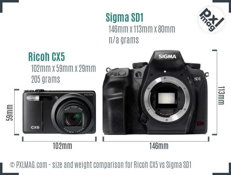 Ricoh CX5 vs Sigma SD1 size comparison