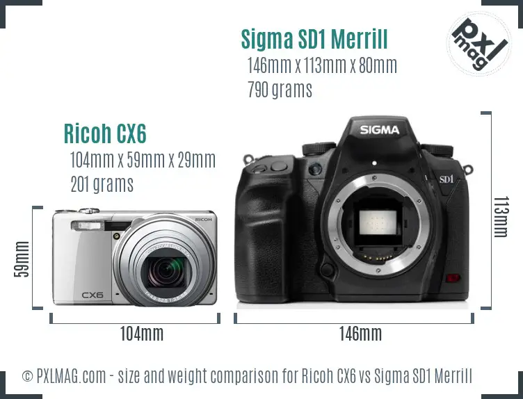 Ricoh CX6 vs Sigma SD1 Merrill size comparison