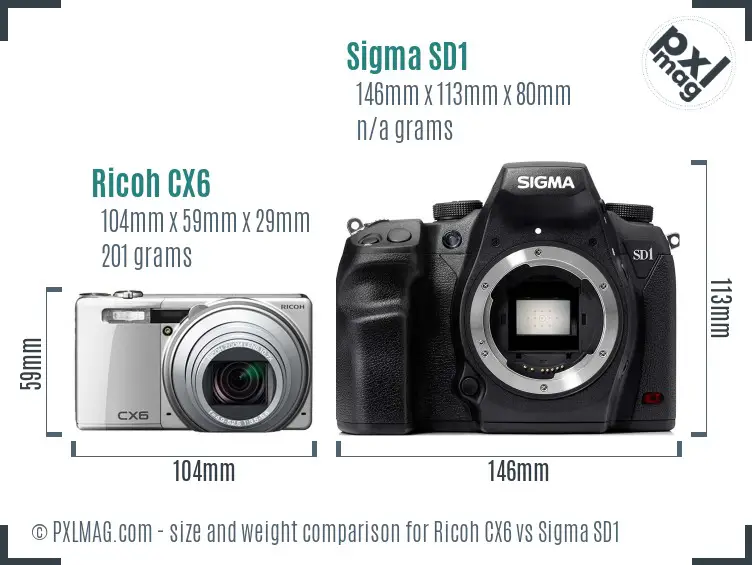 Ricoh CX6 vs Sigma SD1 size comparison