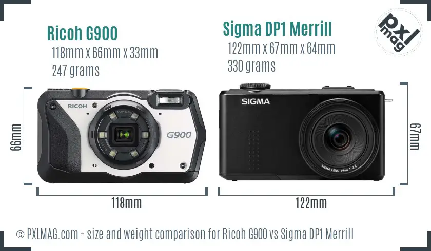 Ricoh G900 vs Sigma DP1 Merrill size comparison