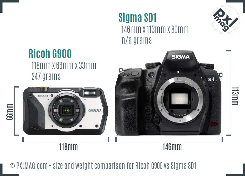 Ricoh G900 vs Sigma SD1 size comparison