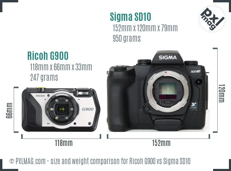 Ricoh G900 vs Sigma SD10 size comparison