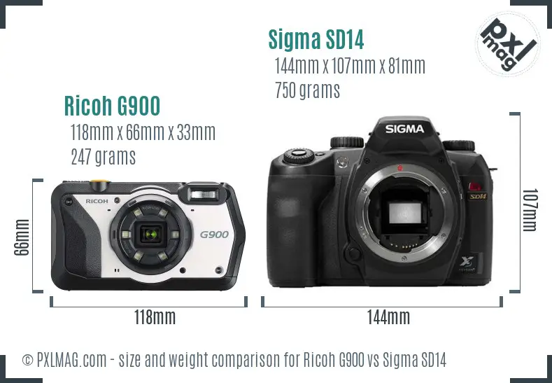 Ricoh G900 vs Sigma SD14 size comparison